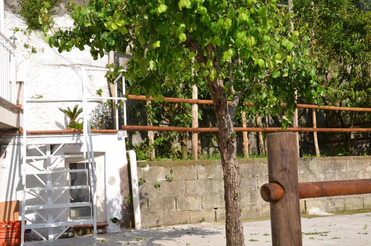 Villa Luciana Sant'Agnello Exterior photo